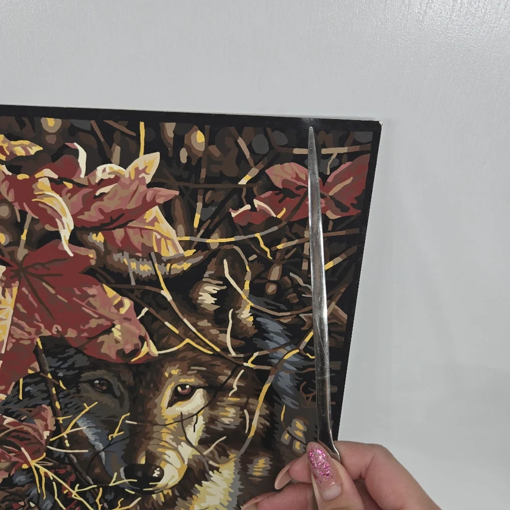 Autumn Wolf Finished Acrylic Painting Paint‎ By Number 14x11 Mystical Whimsical